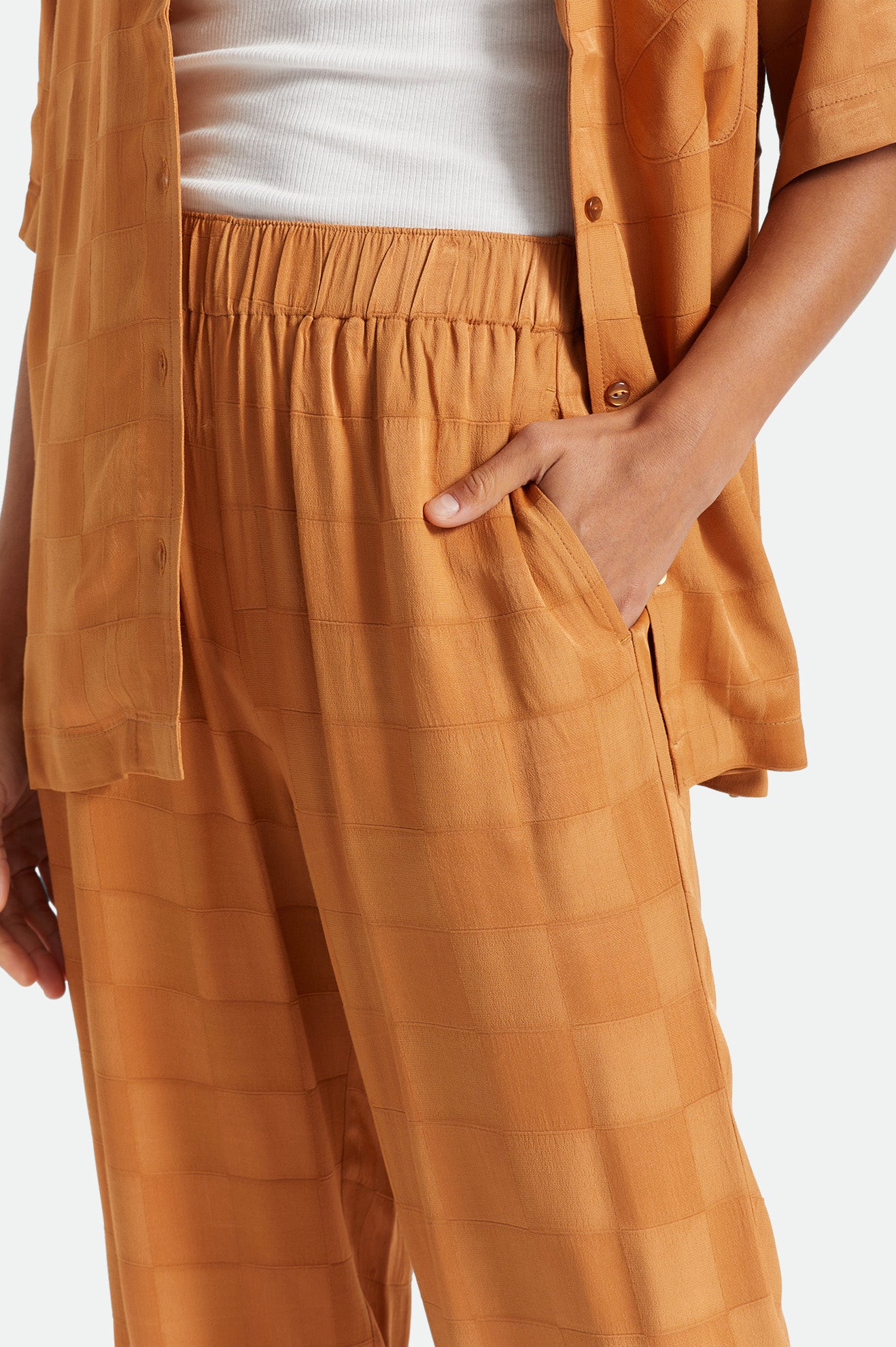 Jackpot Pant - Lion - Image 6